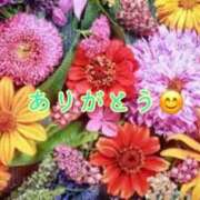 ヒメ日記 2025/01/24 23:51 投稿 板野とも 禁断のメンズエステR-18堺・南大阪店