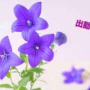 ヒメ日記 2025/01/28 16:33 投稿 板野とも 禁断のメンズエステR-18堺・南大阪店