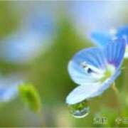 ヒメ日記 2025/01/29 00:51 投稿 板野とも 禁断のメンズエステR-18堺・南大阪店