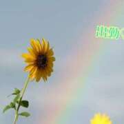 ヒメ日記 2025/01/30 15:03 投稿 板野とも 禁断のメンズエステR-18堺・南大阪店