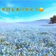 ヒメ日記 2025/01/30 20:51 投稿 板野とも 禁断のメンズエステR-18堺・南大阪店