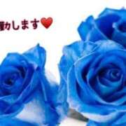 ヒメ日記 2025/01/31 15:03 投稿 板野とも 禁断のメンズエステR-18堺・南大阪店