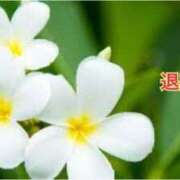 ヒメ日記 2025/02/01 02:51 投稿 板野とも 禁断のメンズエステR-18堺・南大阪店