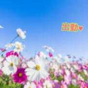 ヒメ日記 2025/02/03 18:33 投稿 板野とも 禁断のメンズエステR-18堺・南大阪店