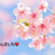 ヒメ日記 2025/02/04 02:42 投稿 板野とも 禁断のメンズエステR-18堺・南大阪店