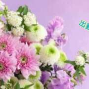 ヒメ日記 2025/02/05 15:57 投稿 板野とも 禁断のメンズエステR-18堺・南大阪店