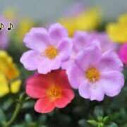 ヒメ日記 2025/02/06 15:03 投稿 板野とも 禁断のメンズエステR-18堺・南大阪店