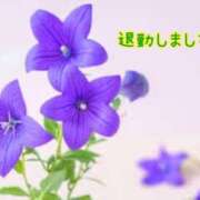 ヒメ日記 2025/02/06 23:42 投稿 板野とも 禁断のメンズエステR-18堺・南大阪店