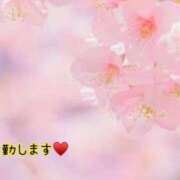 ヒメ日記 2025/02/07 15:03 投稿 板野とも 禁断のメンズエステR-18堺・南大阪店