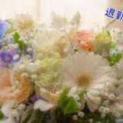 ヒメ日記 2025/02/08 00:42 投稿 板野とも 禁断のメンズエステR-18堺・南大阪店