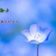 ヒメ日記 2025/02/10 23:42 投稿 板野とも 禁断のメンズエステR-18堺・南大阪店