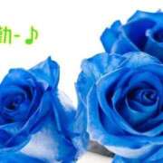 ヒメ日記 2025/02/12 23:42 投稿 板野とも 禁断のメンズエステR-18堺・南大阪店