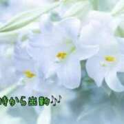 ヒメ日記 2025/02/13 15:03 投稿 板野とも 禁断のメンズエステR-18堺・南大阪店