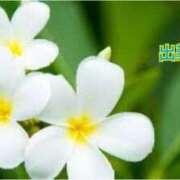 ヒメ日記 2025/02/18 15:12 投稿 板野とも 禁断のメンズエステR-18堺・南大阪店