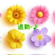 ヒメ日記 2025/02/18 23:51 投稿 板野とも 禁断のメンズエステR-18堺・南大阪店