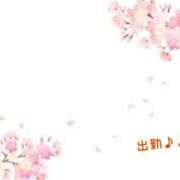 ヒメ日記 2025/02/20 14:06 投稿 板野とも 禁断のメンズエステR-18堺・南大阪店