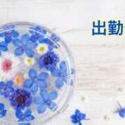 ヒメ日記 2025/02/25 09:18 投稿 板野とも 禁断のメンズエステR-18堺・南大阪店