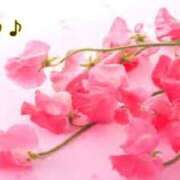 ヒメ日記 2025/02/25 17:33 投稿 板野とも 禁断のメンズエステR-18堺・南大阪店