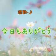 ヒメ日記 2025/02/27 00:51 投稿 板野とも 禁断のメンズエステR-18堺・南大阪店
