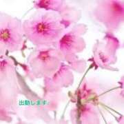 ヒメ日記 2025/02/28 20:34 投稿 板野とも 禁断のメンズエステR-18堺・南大阪店