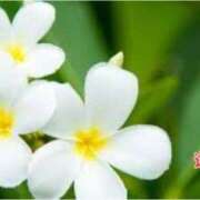 ヒメ日記 2025/03/01 02:42 投稿 板野とも 禁断のメンズエステR-18堺・南大阪店