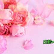 ヒメ日記 2025/03/09 08:51 投稿 板野とも 禁断のメンズエステR-18堺・南大阪店