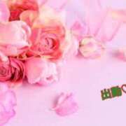 ヒメ日記 2025/03/21 17:06 投稿 板野とも 禁断のメンズエステR-18堺・南大阪店