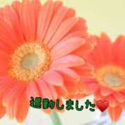 ヒメ日記 2025/03/22 00:48 投稿 板野とも 禁断のメンズエステR-18堺・南大阪店