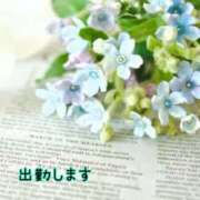 ヒメ日記 2025/03/25 17:03 投稿 板野とも 禁断のメンズエステR-18堺・南大阪店