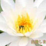 ヒメ日記 2025/03/28 16:51 投稿 板野とも 禁断のメンズエステR-18堺・南大阪店