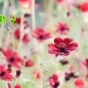 ヒメ日記 2025/04/05 02:51 投稿 板野とも 禁断のメンズエステR-18堺・南大阪店