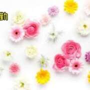 ヒメ日記 2025/04/07 18:36 投稿 板野とも 禁断のメンズエステR-18堺・南大阪店