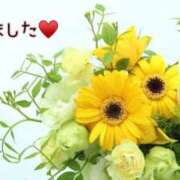 ヒメ日記 2025/04/08 01:42 投稿 板野とも 禁断のメンズエステR-18堺・南大阪店