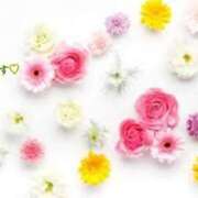 ヒメ日記 2025/04/17 18:03 投稿 板野とも 禁断のメンズエステR-18堺・南大阪店