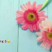 ヒメ日記 2025/04/18 01:42 投稿 板野とも 禁断のメンズエステR-18堺・南大阪店