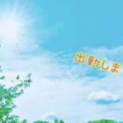 ヒメ日記 2025/04/21 11:03 投稿 板野とも 禁断のメンズエステR-18堺・南大阪店