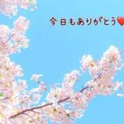 ヒメ日記 2025/04/21 19:42 投稿 板野とも 禁断のメンズエステR-18堺・南大阪店