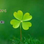 ヒメ日記 2025/04/22 09:03 投稿 板野とも 禁断のメンズエステR-18堺・南大阪店