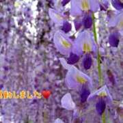 ヒメ日記 2025/04/22 20:42 投稿 板野とも 禁断のメンズエステR-18堺・南大阪店