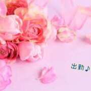 ヒメ日記 2025/04/28 10:33 投稿 板野とも 禁断のメンズエステR-18堺・南大阪店