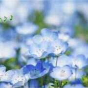 ヒメ日記 2025/04/29 09:33 投稿 板野とも 禁断のメンズエステR-18堺・南大阪店