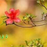 ヒメ日記 2025/05/04 01:56 投稿 板野とも 禁断のメンズエステR-18堺・南大阪店