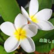 ヒメ日記 2025/05/05 10:06 投稿 板野とも 禁断のメンズエステR-18堺・南大阪店