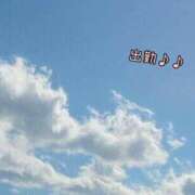 ヒメ日記 2025/05/07 11:04 投稿 板野とも 禁断のメンズエステR-18堺・南大阪店