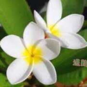 ヒメ日記 2025/05/07 20:05 投稿 板野とも 禁断のメンズエステR-18堺・南大阪店