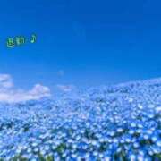 ヒメ日記 2025/05/25 03:54 投稿 板野とも 禁断のメンズエステR-18堺・南大阪店