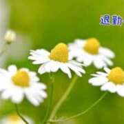 ヒメ日記 2025/05/25 15:44 投稿 板野とも 禁断のメンズエステR-18堺・南大阪店