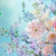 ヒメ日記 2025/06/21 04:04 投稿 板野とも 禁断のメンズエステR-18堺・南大阪店