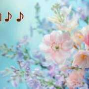 ヒメ日記 2025/06/22 22:54 投稿 板野とも 禁断のメンズエステR-18堺・南大阪店