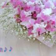 ヒメ日記 2025/06/26 18:24 投稿 板野とも 禁断のメンズエステR-18堺・南大阪店